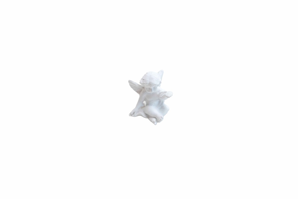 8599330045390b