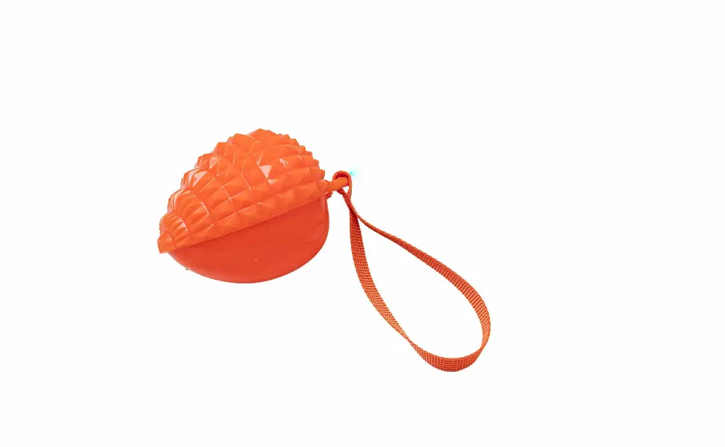 Bản sao 8596331272008b.webp