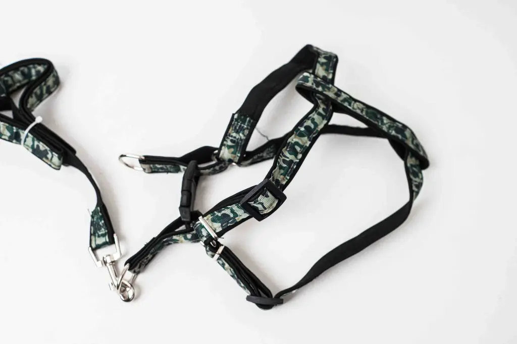 Bản sao 8596330011066a.webp