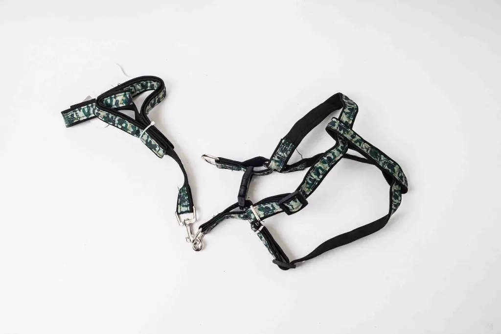 Bản sao 8596330011066b.webp