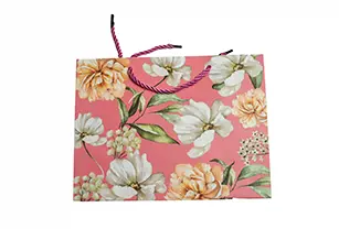Gift Bag A10250 - size Xs
