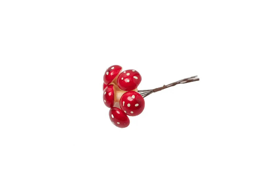 Decorative Branch
