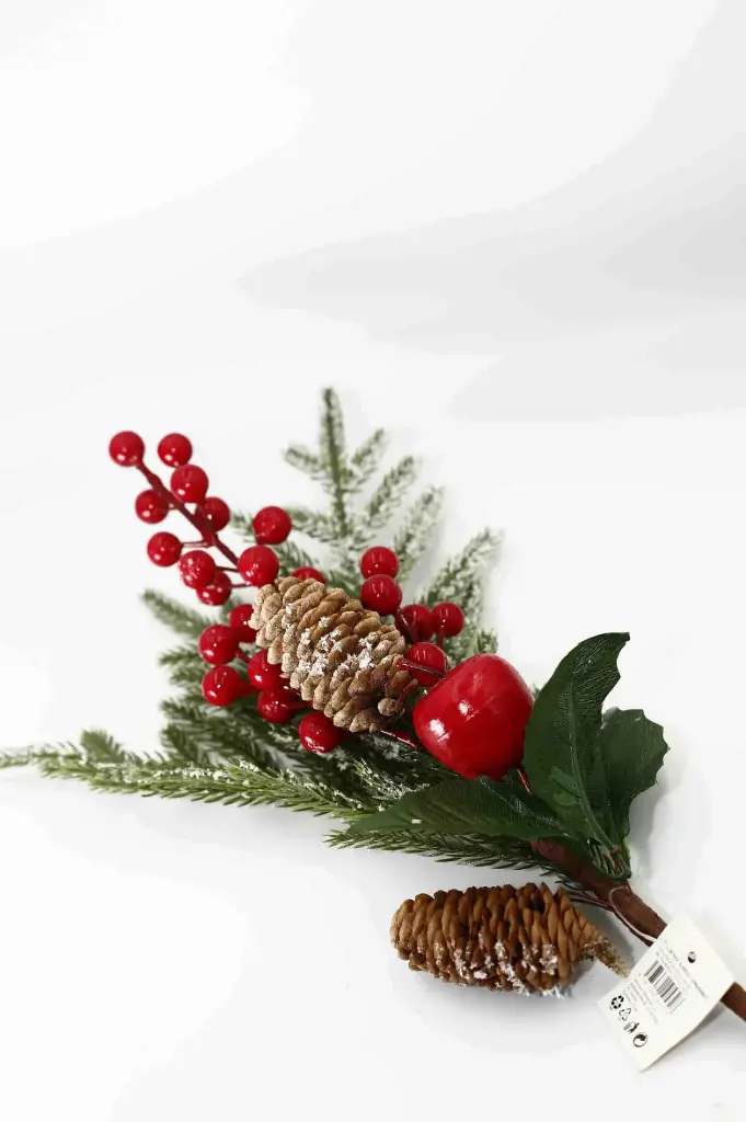 Nhánh Vánční A10532