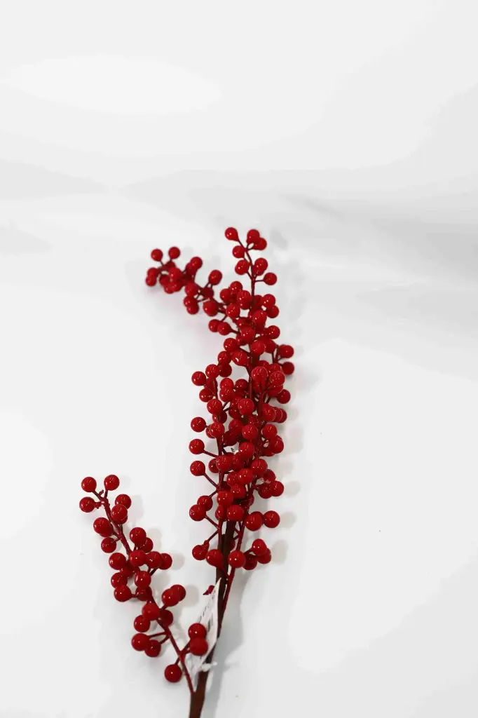 Nhánh Vánční A10612