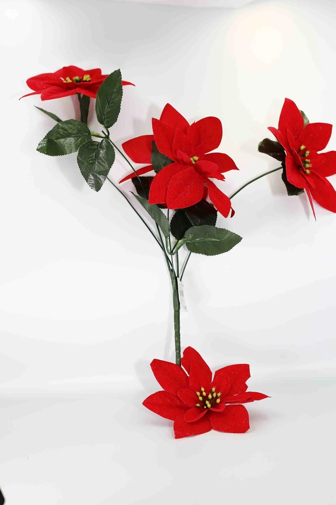 Christmas Star 10851