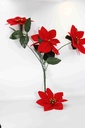 Christmas Star 10851