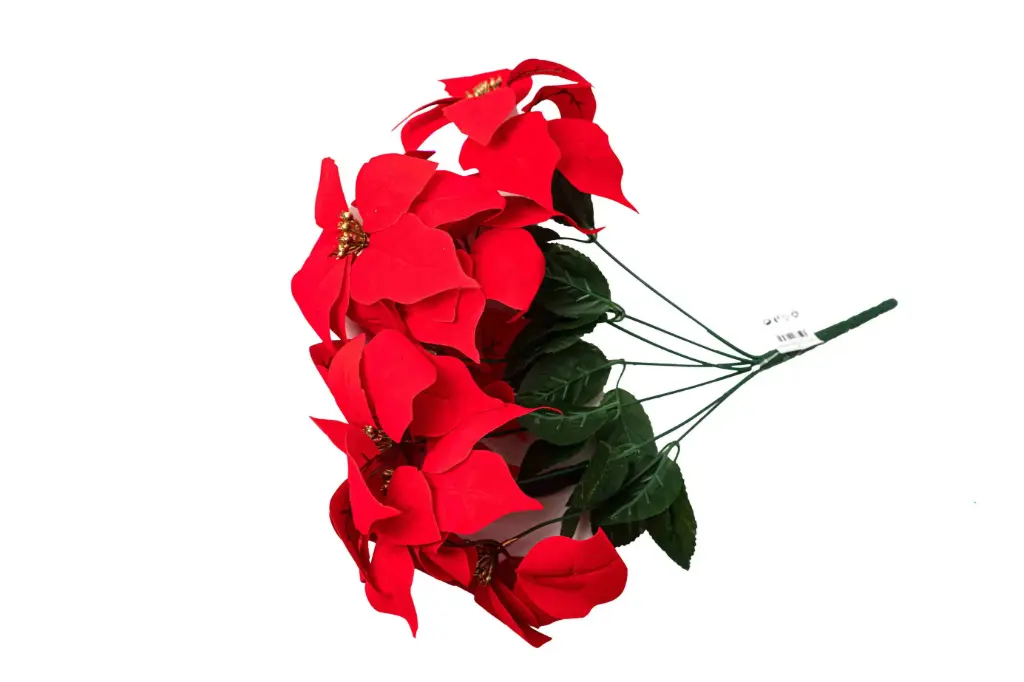 Christmas Star A10853