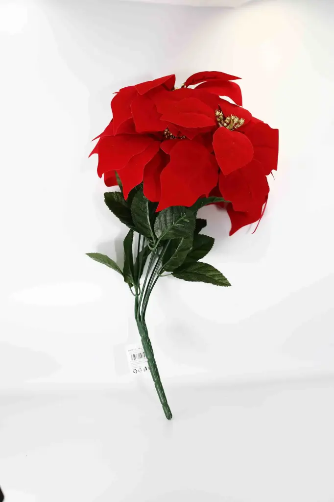 Ngôi sao Giáng sinh A10853