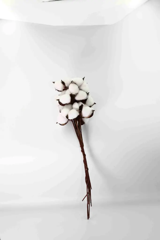 Cành cây có túi A10905