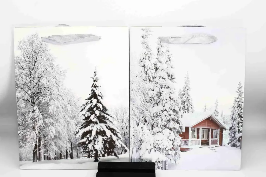 Túi Quà Tặng - size Xs