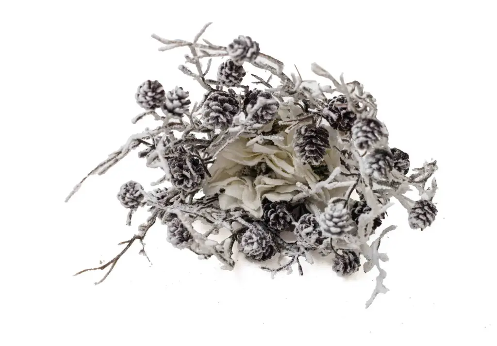 Trang trí Giáng sinh với kẹp A10630