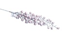 Christmas Wreath A10527