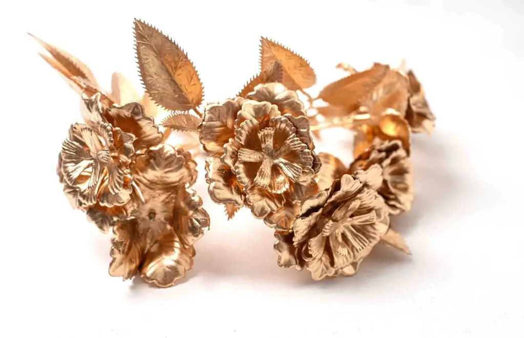 cây cắm Giáng sinh