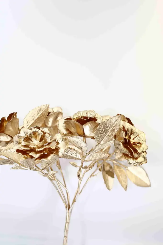 cây cắm Giáng sinh