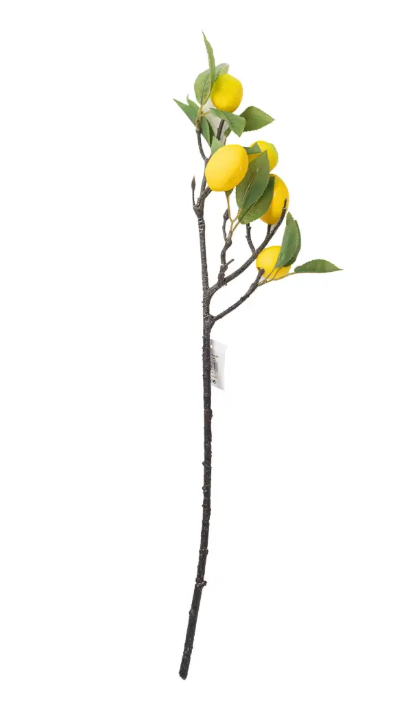 Decorative Branch A6747