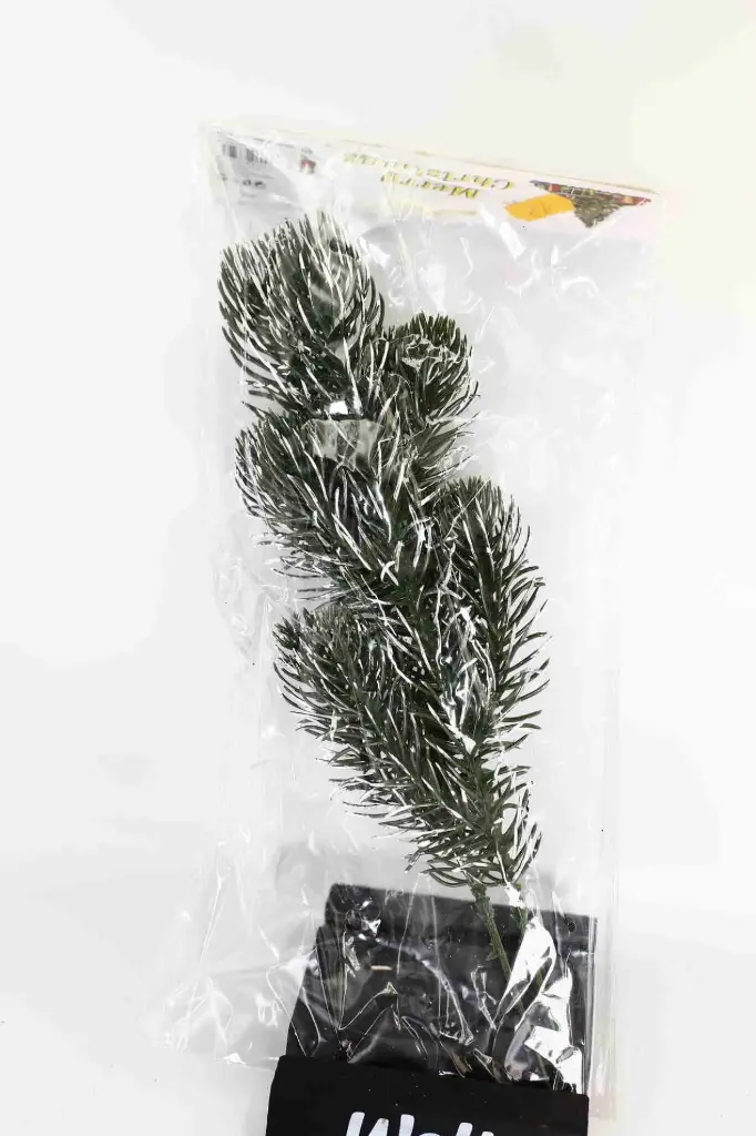 Decorative Branch A6995