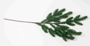Christmas Branch A10544