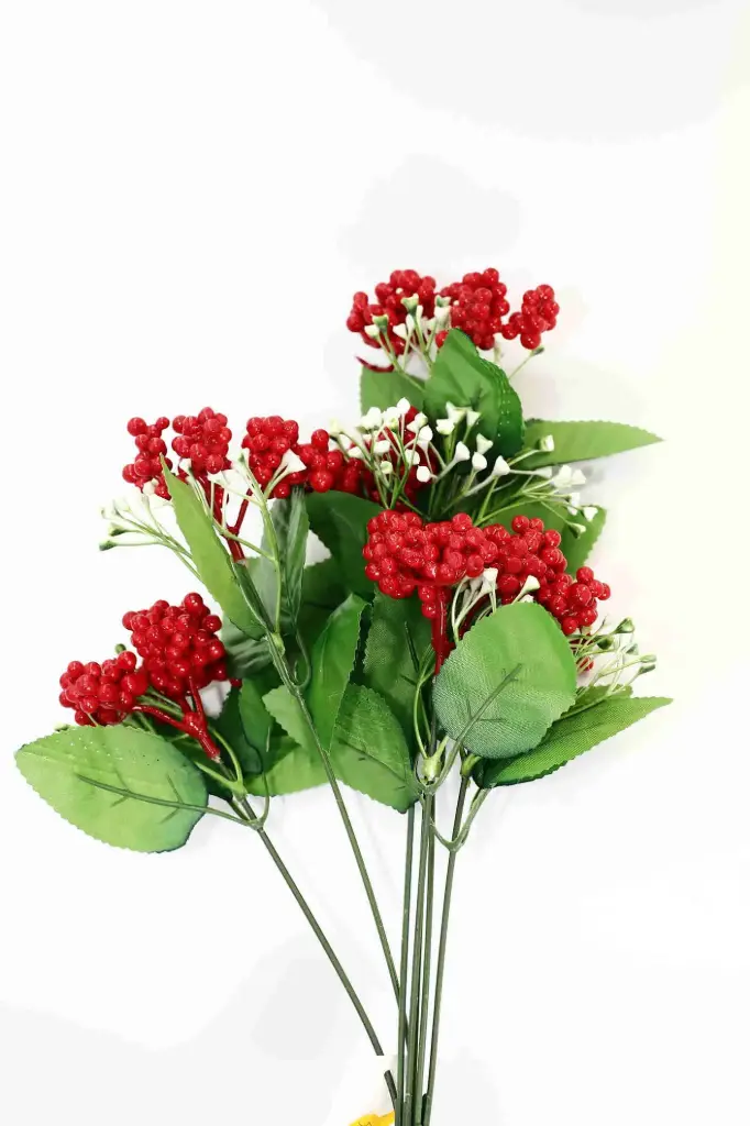 Hoa Giáng Sinh 6 nhánh