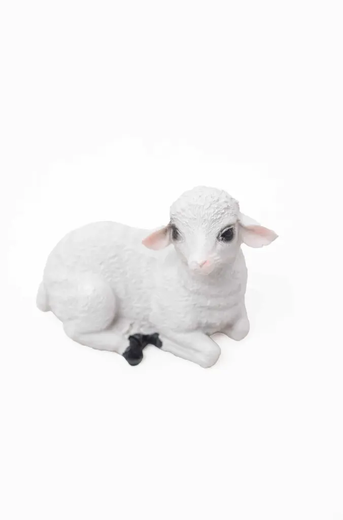 Sheep A3698