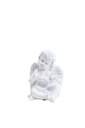 Angel A8700