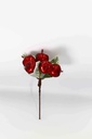 Christmas Decorative Branch A10850