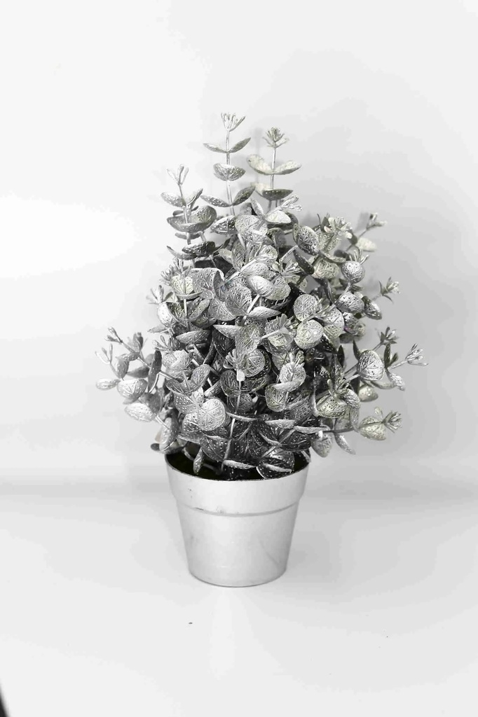 Christmas Tree A10893