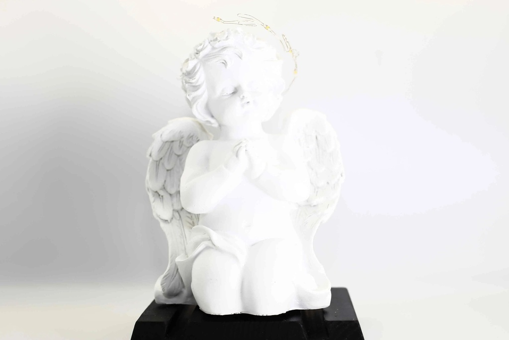 Anděl N236