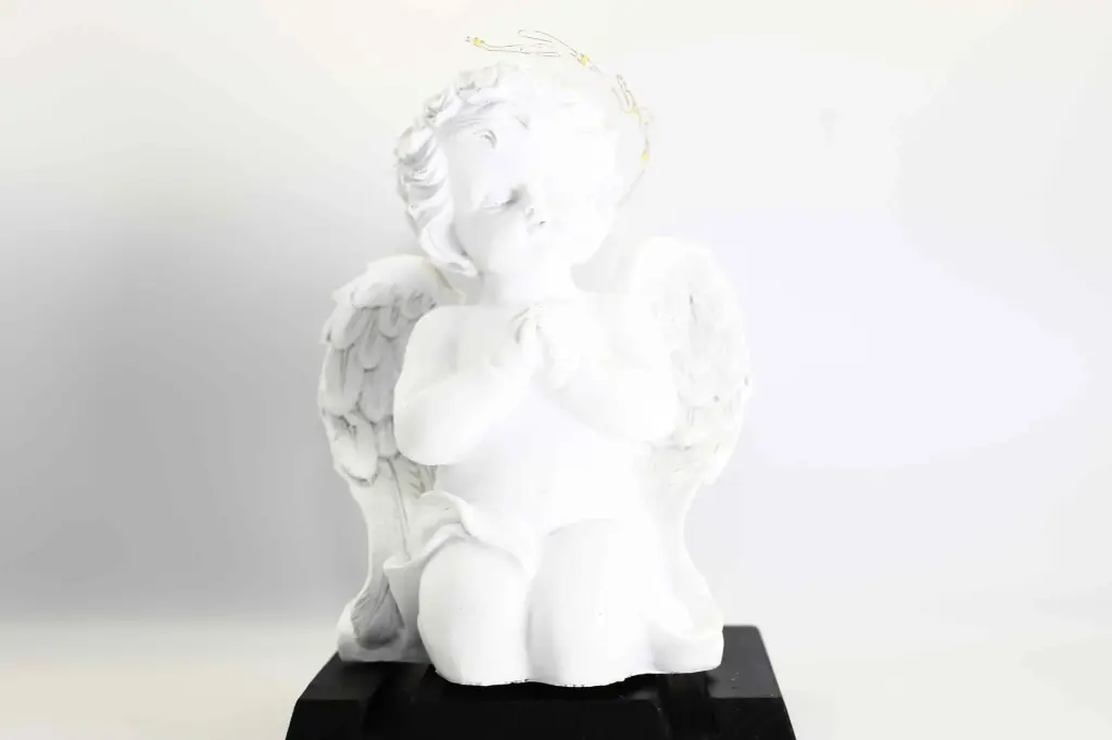Anděl N236