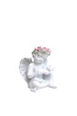 Angel N236