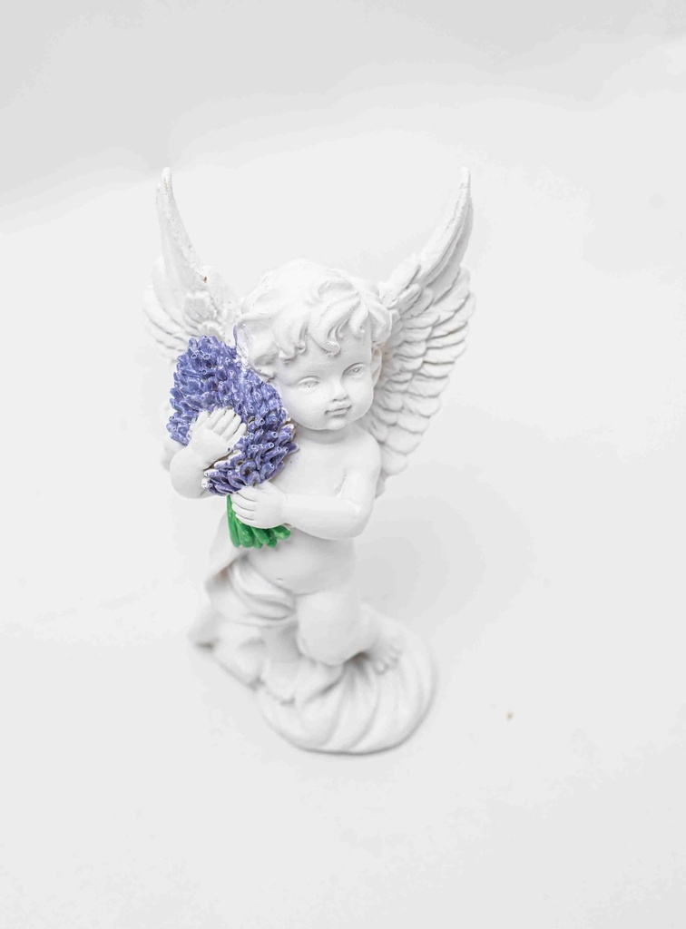 Angel N983