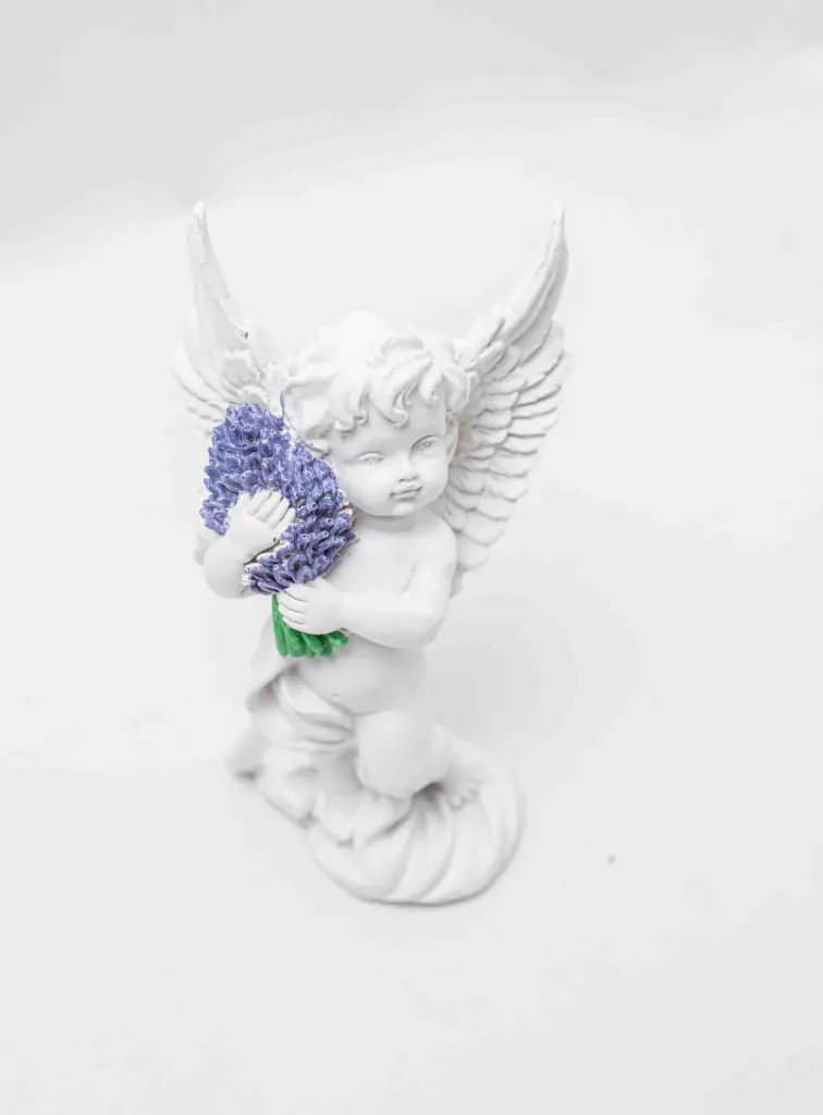 Angel N983