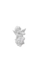 Angel A8679