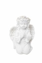 Švitici anděl 8376