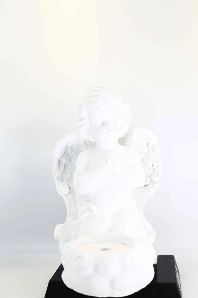 Anděl N231