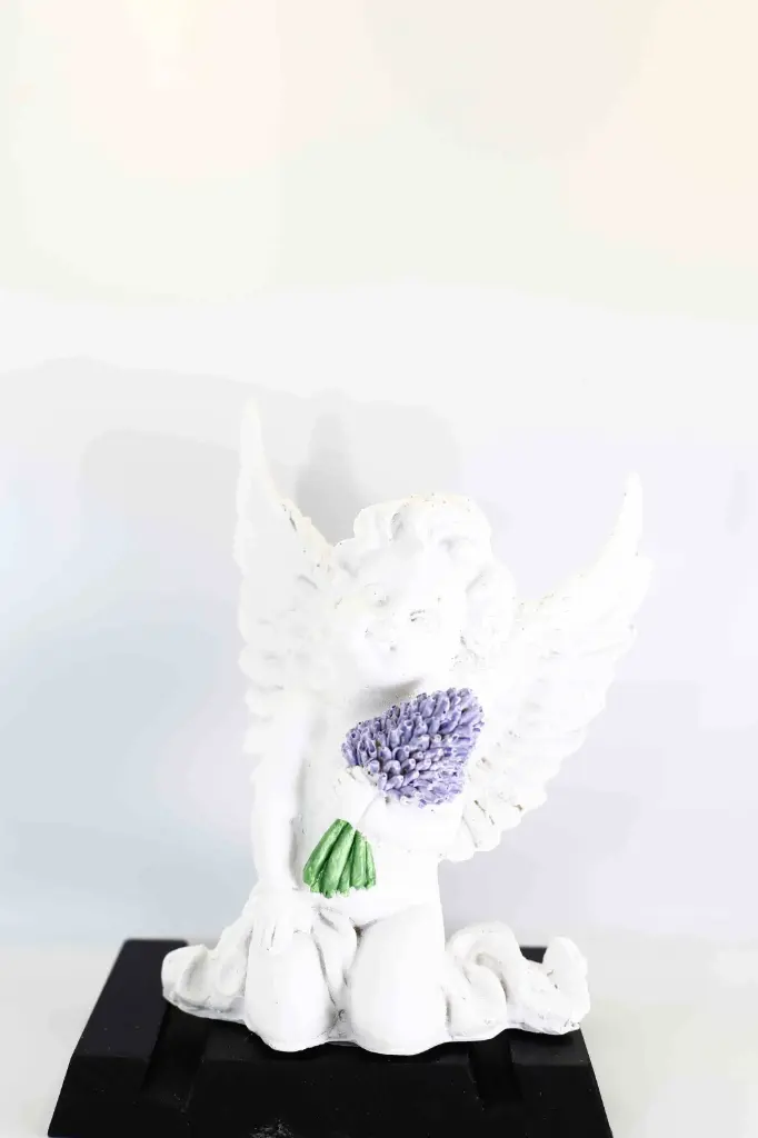 Angel N984