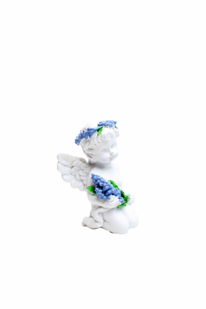 Thiên Thần N982-BOX 2 cái