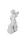 Anděl A6991
