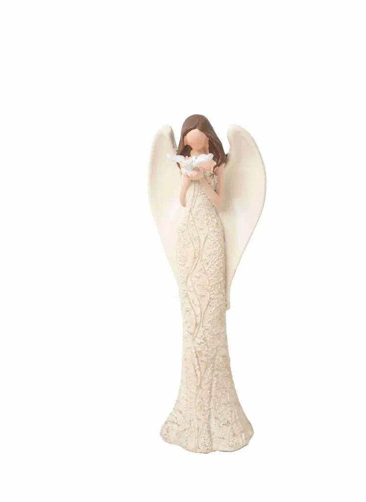 Angel N218
