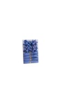 Ribbon and Bow Set A6249