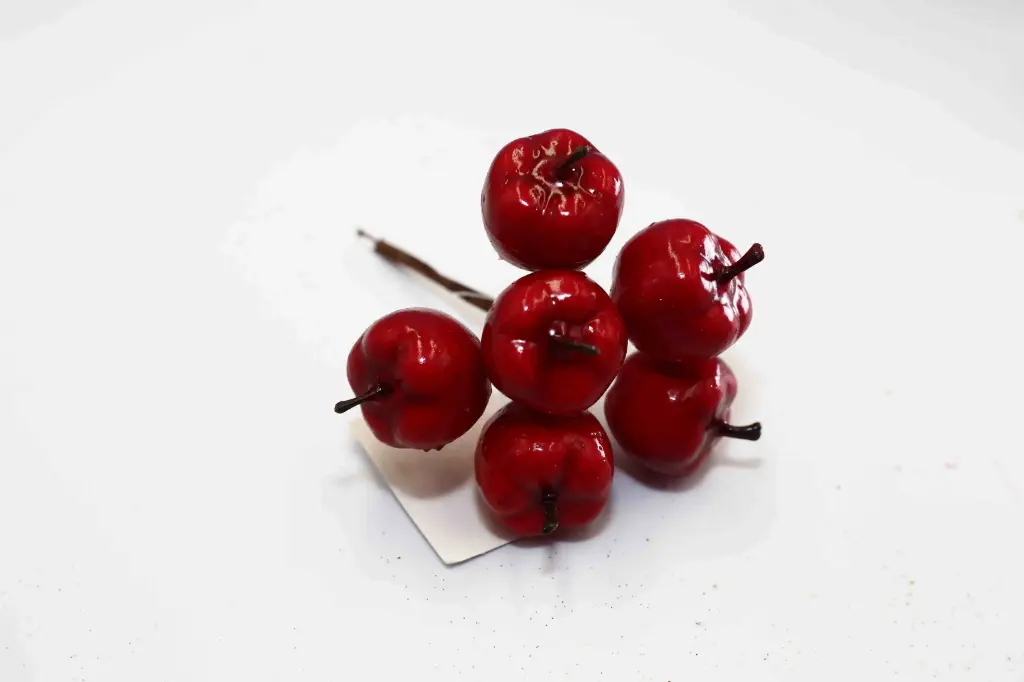 Nhánh trang trí b8298