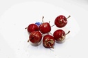 Christmas Decorative Branch A10633