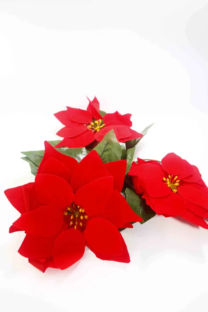 Ngôi sao Giáng sinh A10905