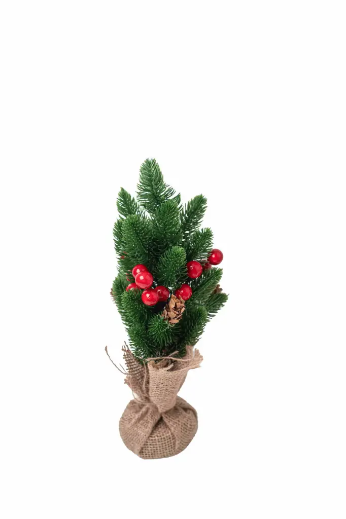 stomek 28cm