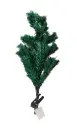 Cây nhỏ