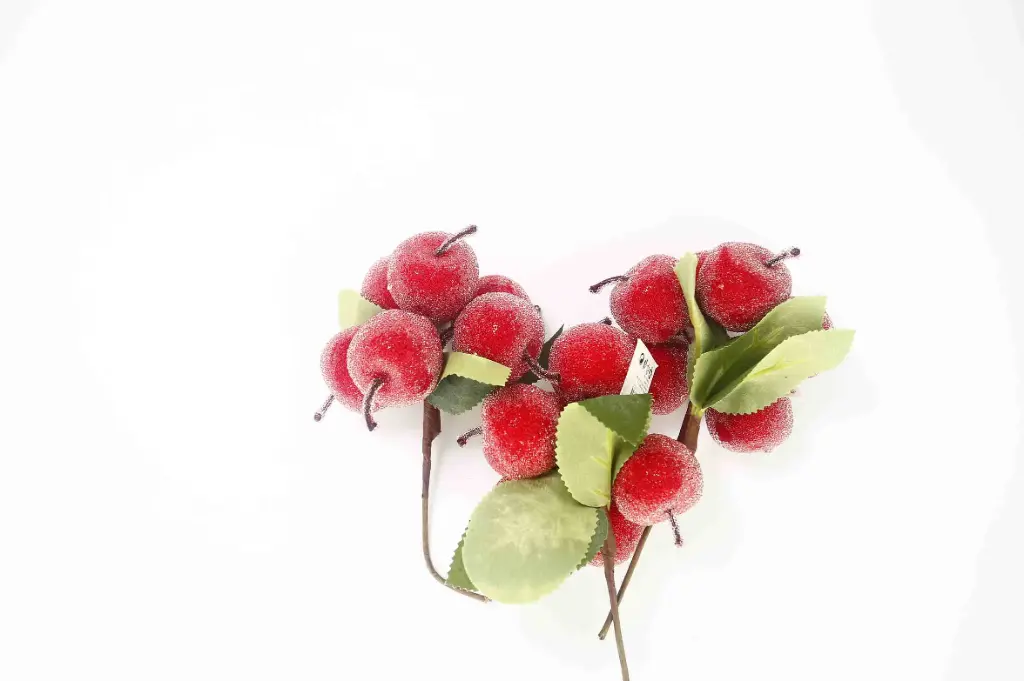 Decoration pick A10869