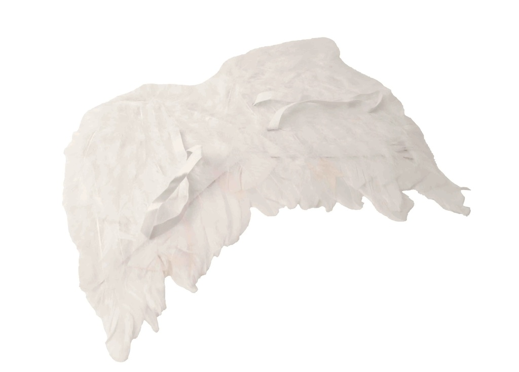 Angel Wings A10683
