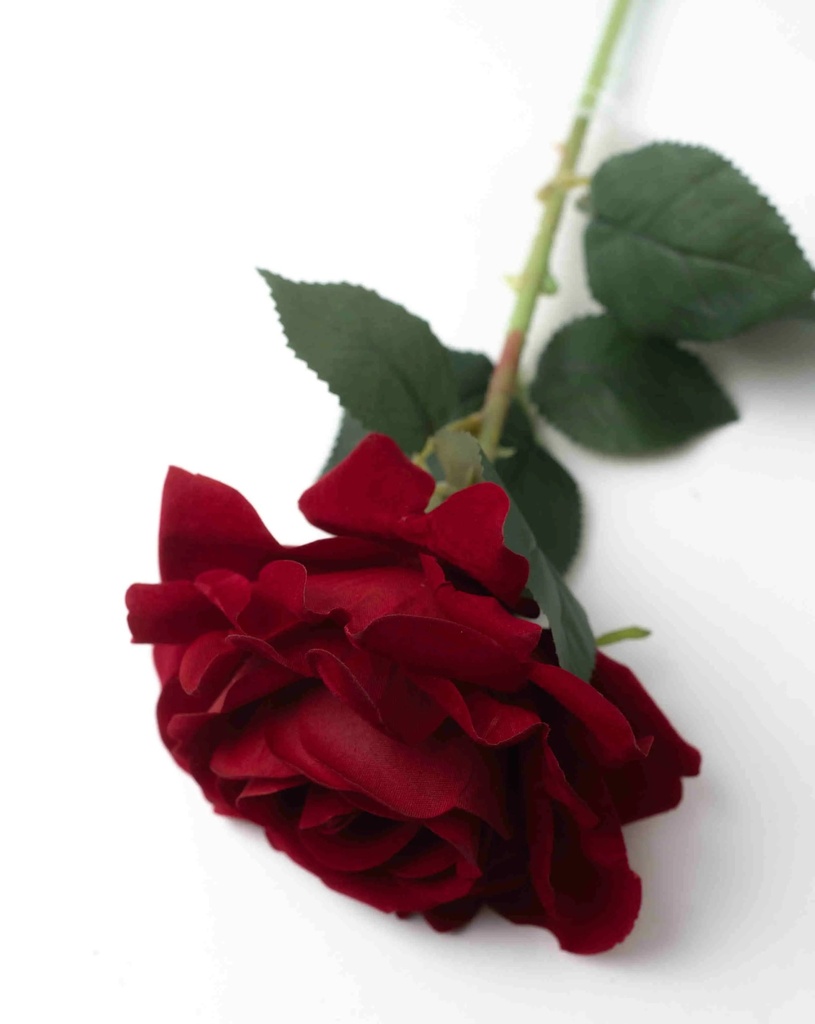 Artificial roses A256