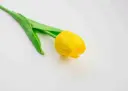 Umělé květiny tulipán A10318