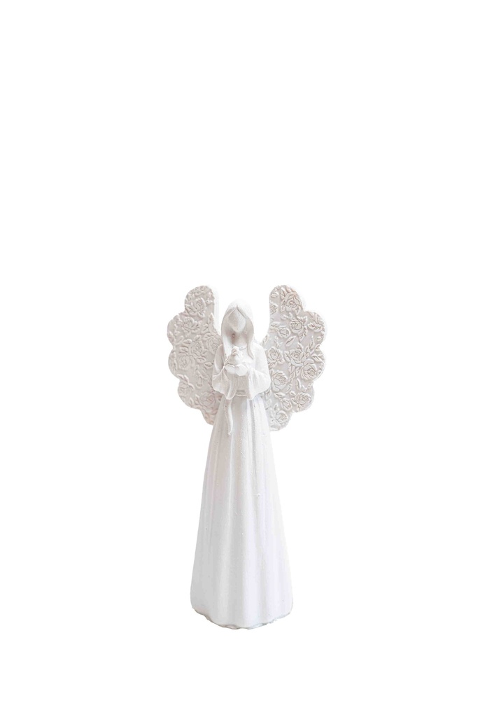 Angel 11902