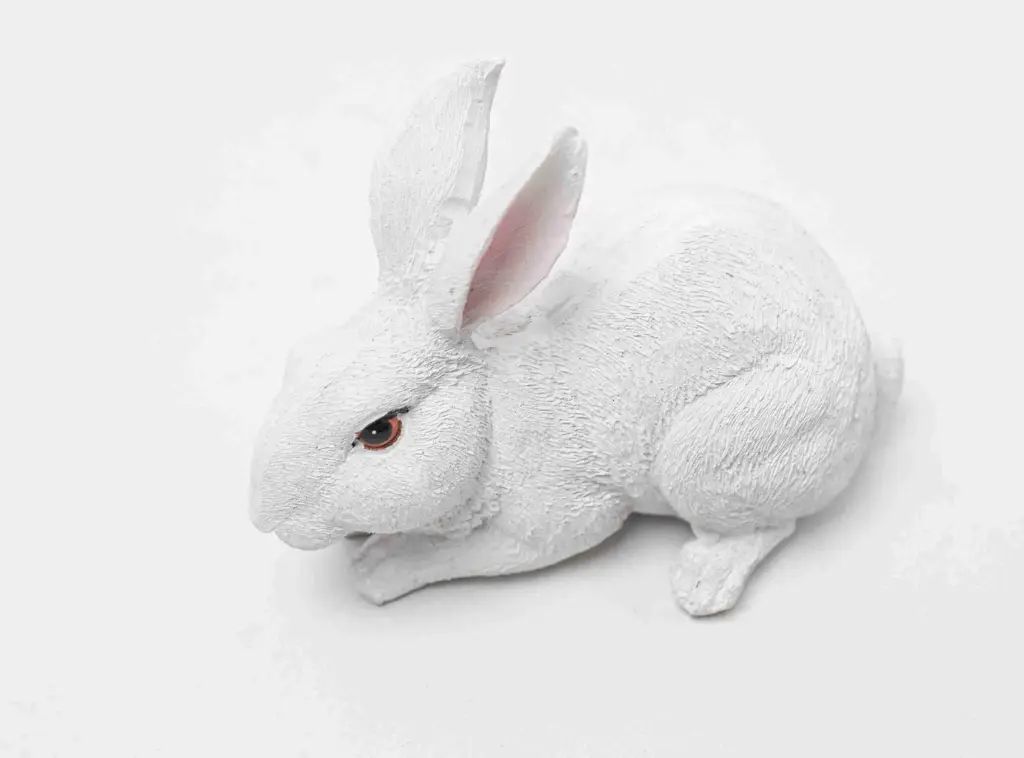 Rabbit 3700